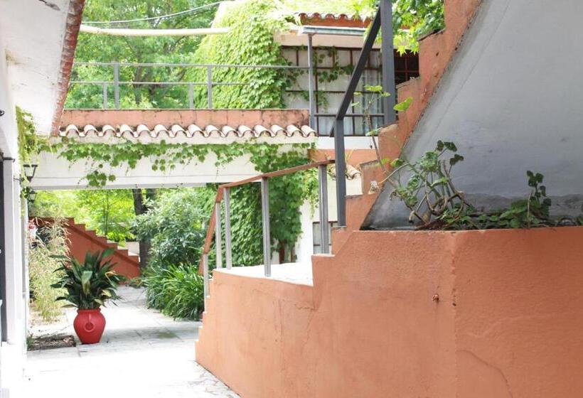 ホテル La Ballena