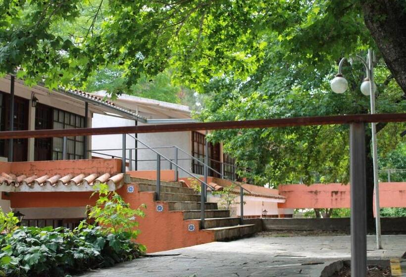 ホテル La Ballena