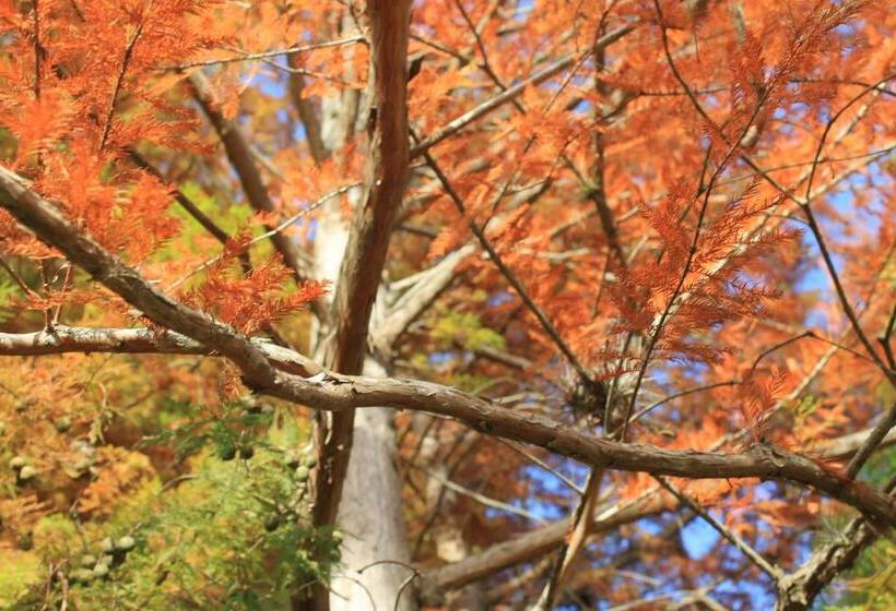 ホテル La Ballena