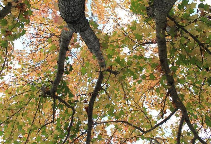 ホテル La Ballena