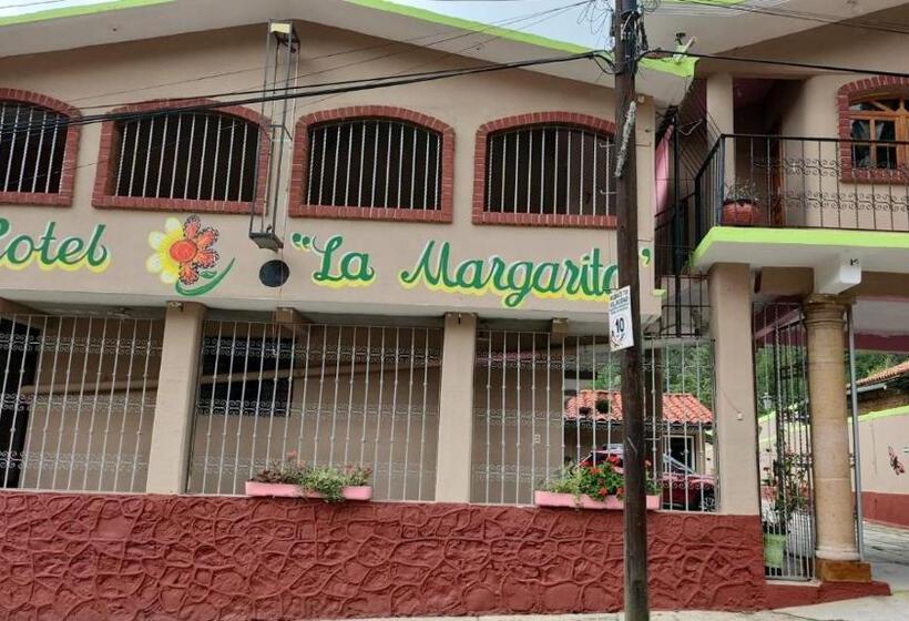 酒店 La Margarita