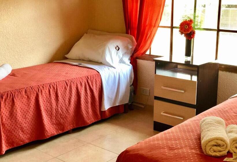 酒店 San Remo Viking