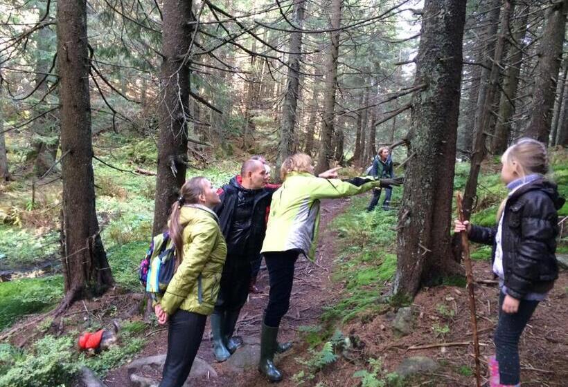 Пансион туристичний комплекс ворохта 365 Turistichesky Kompleks Vorokhta 365