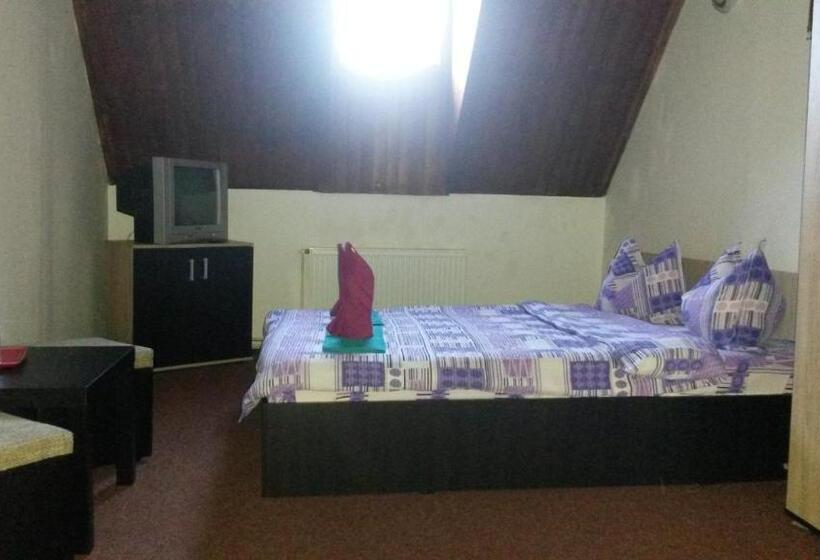 بنسيون Casa Frasin