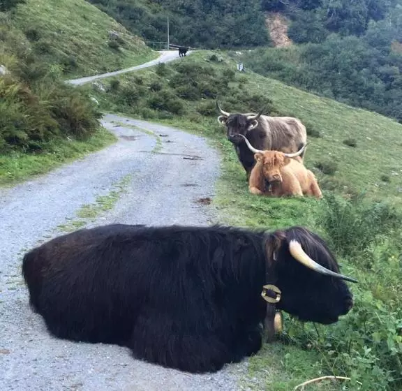 Majatalo Haus Gollas