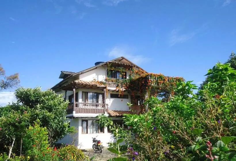 ペンション Hostal Pachamama