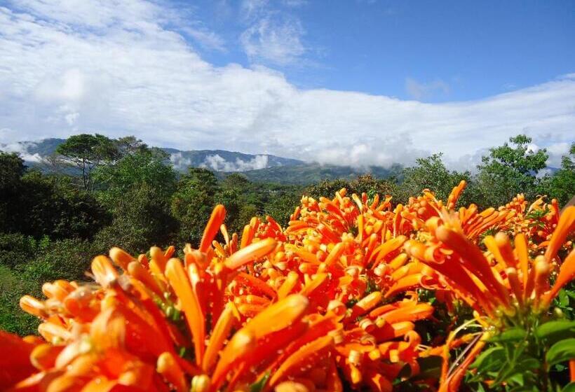 پانسیون Hostal Pachamama