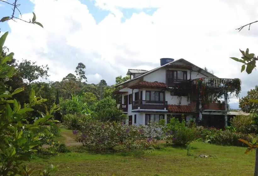 ペンション Hostal Pachamama