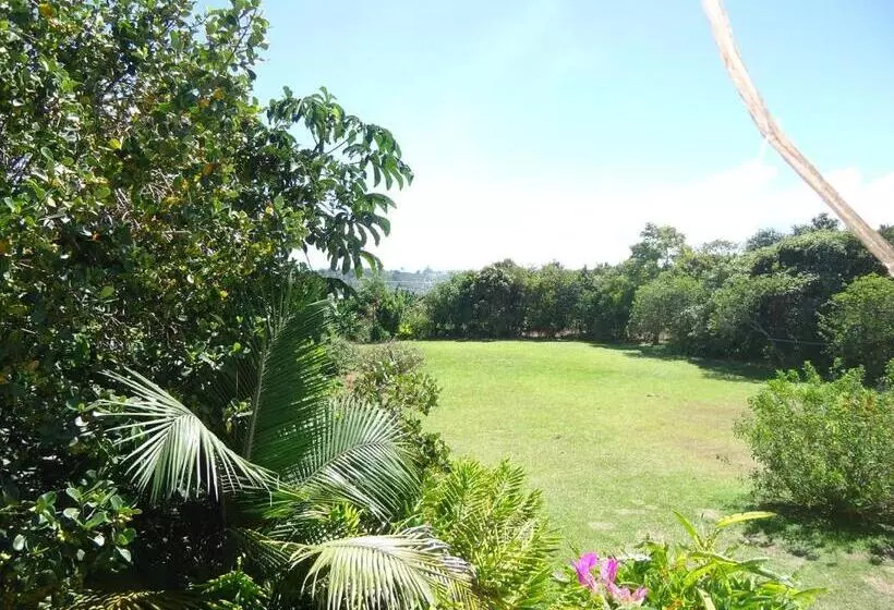 ペンション Hostal Pachamama