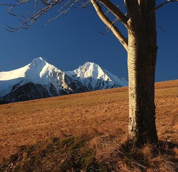 Пансион Penzión Horec Ii