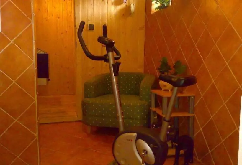 Pension Medvidek
