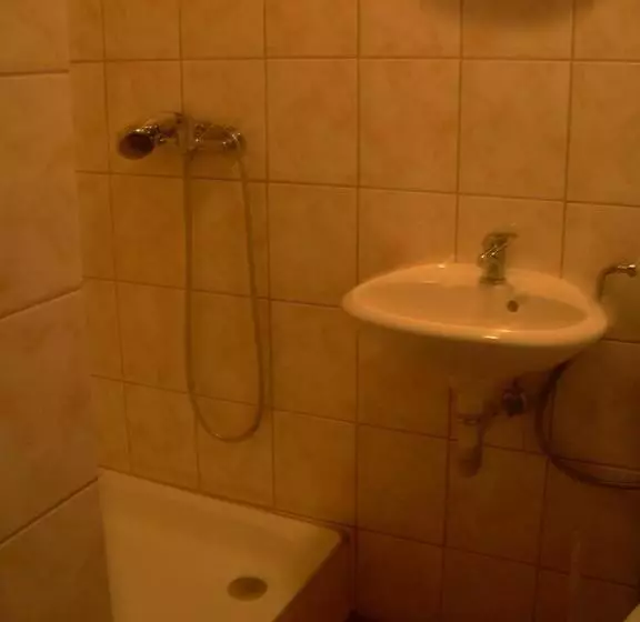 Pension Medvidek