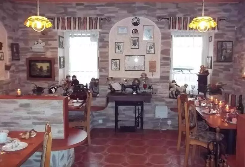 Pension Medvidek