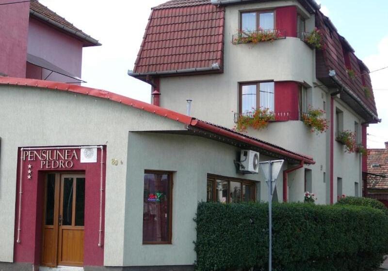 Pensiunea Pedro