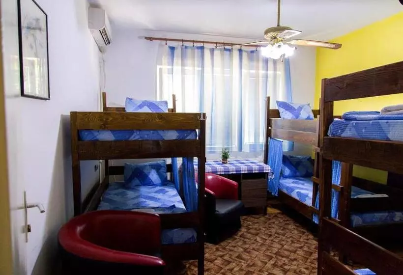 The Comfy Hostel