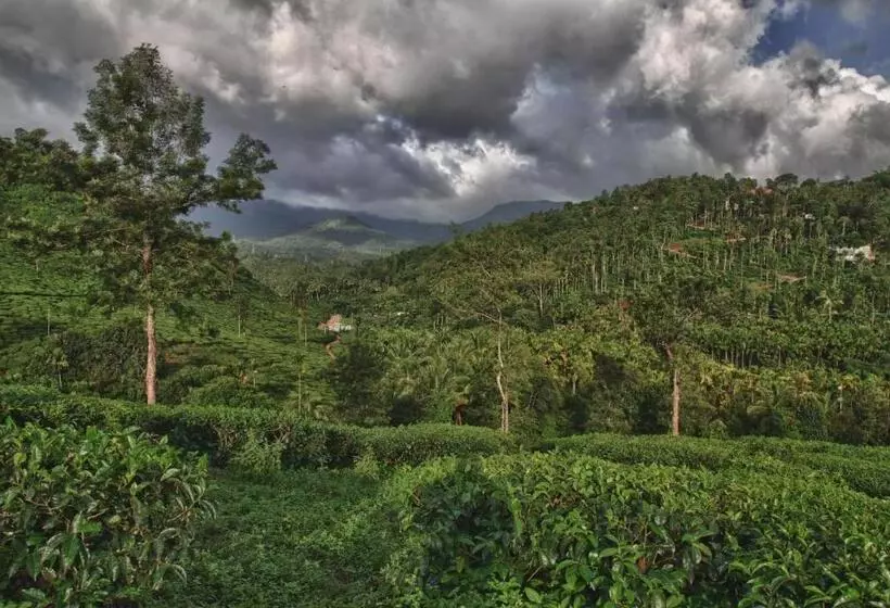 The Windflower Resort & Spa, Vythiri