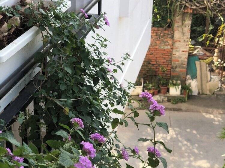 Della Luna Hotel Tam Coc