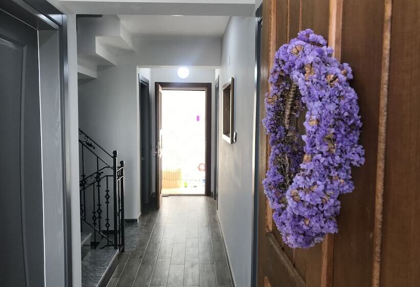 هتل Demirtaş Pansiyon