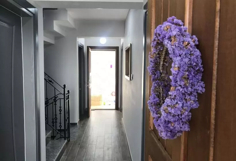 هتل Demirtaş Pansiyon