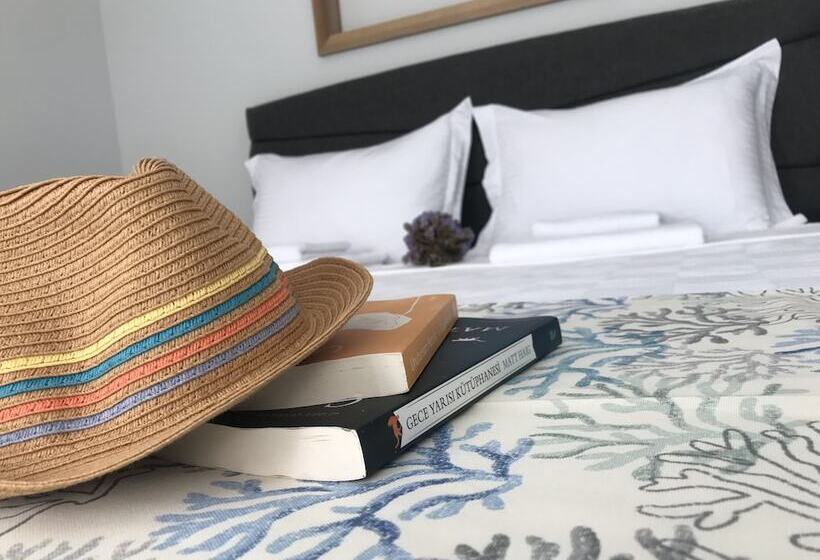 هتل Demirtaş Pansiyon