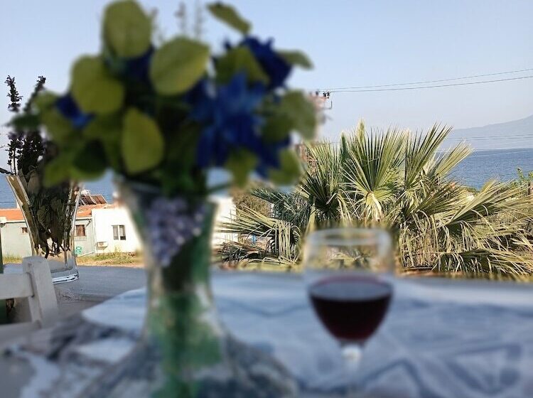 Отель Ekin Assos