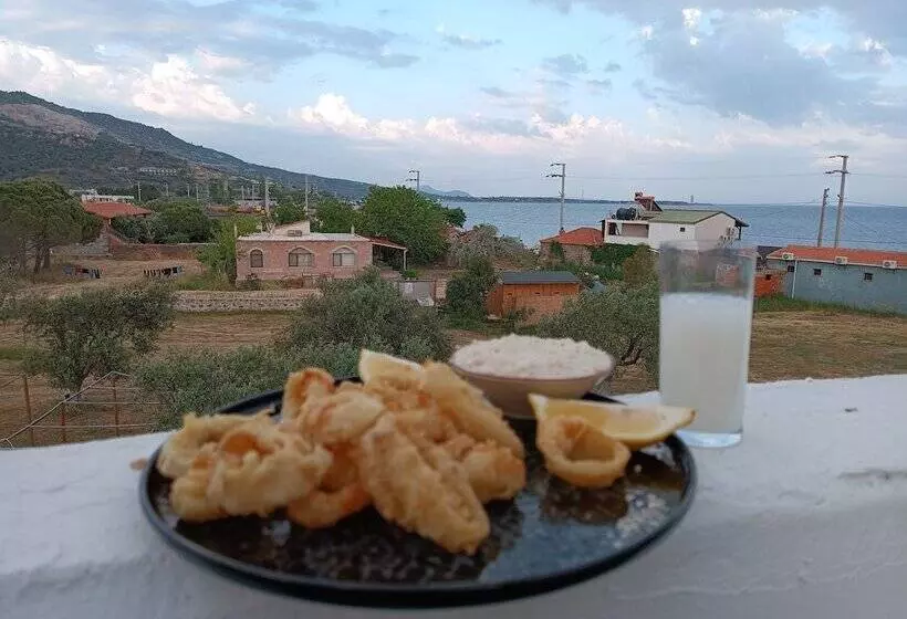 ホテル Ekin Assos