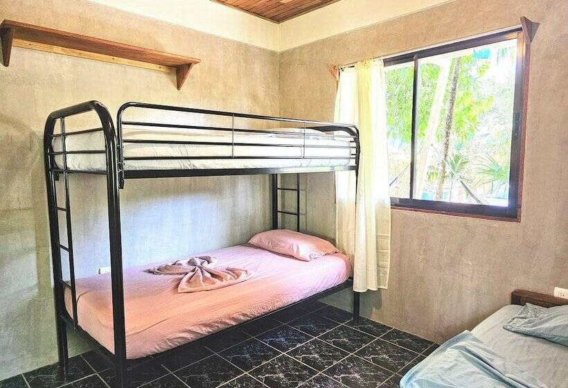 هتل Don Jon S Surf And Yoga Lodge