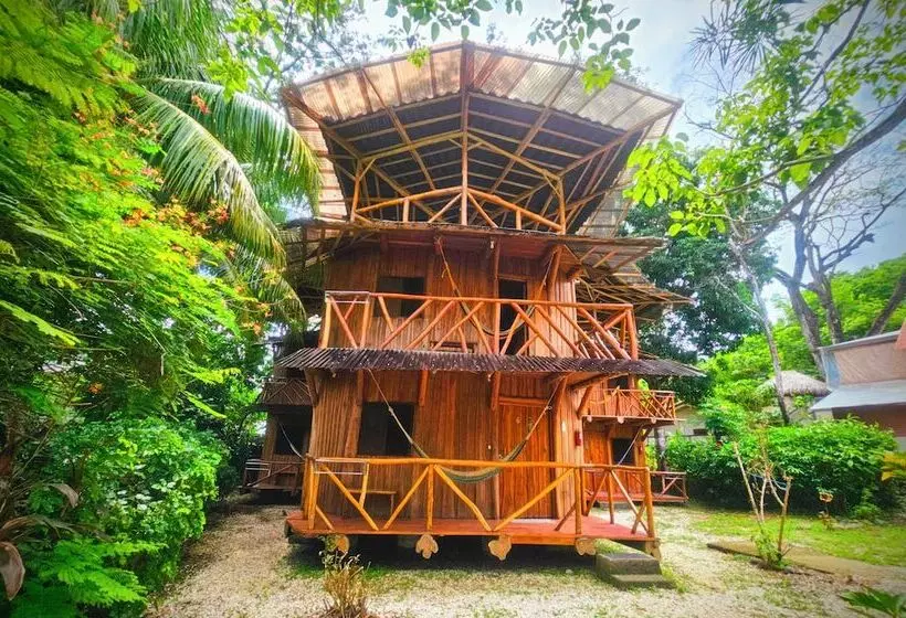 ホテル Don Jon S Surf And Yoga Lodge