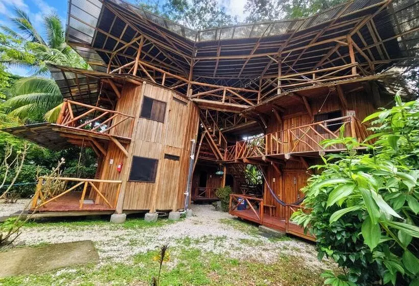ホテル Don Jon S Surf And Yoga Lodge
