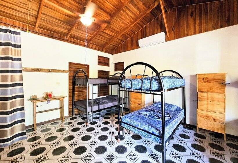 هتل Don Jon S Surf And Yoga Lodge