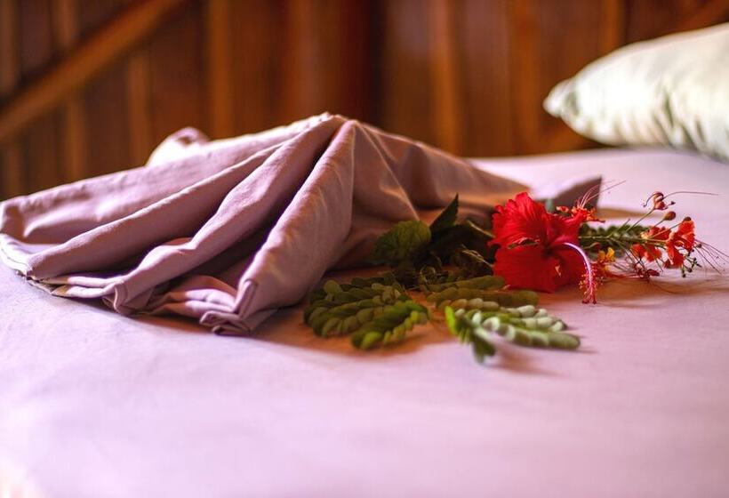 هتل Don Jon S Surf And Yoga Lodge