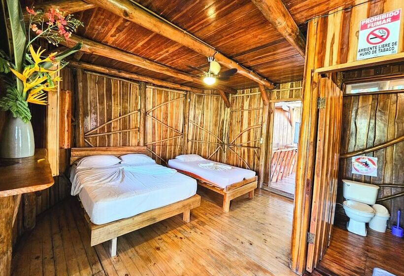 هتل Don Jon S Surf And Yoga Lodge