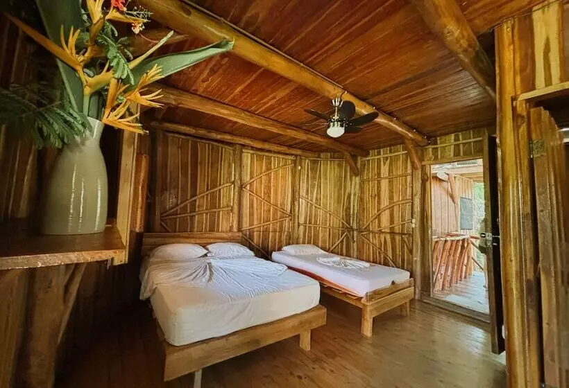 ホテル Don Jon S Surf And Yoga Lodge