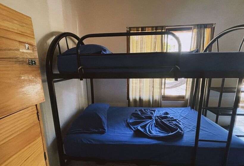 هتل Don Jon S Surf And Yoga Lodge