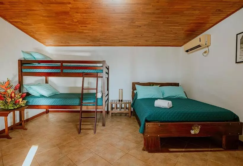 Hotelli Planeta Sano