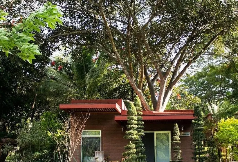 ホテル Yemaya Club