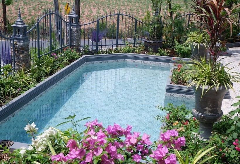 Курорт Jungle Moon Boutique Homestay