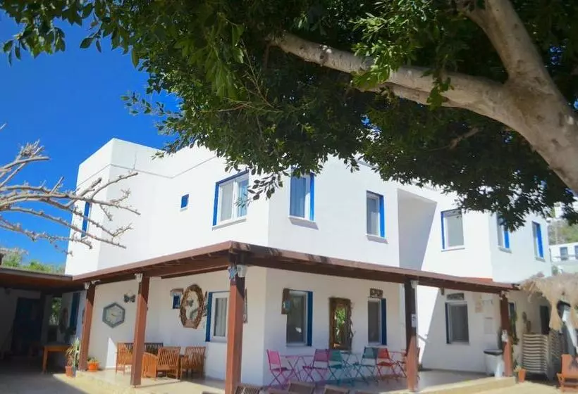 Aamiaismajoitus (B&B) Yüksel Butik