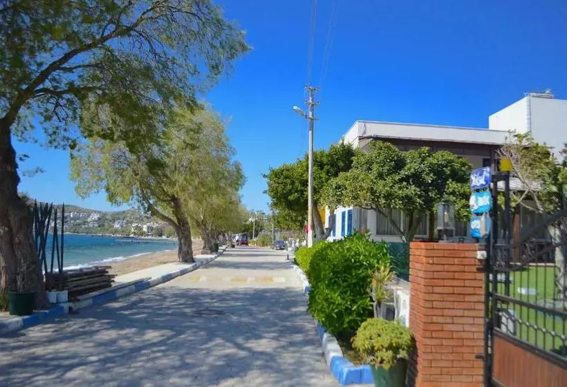 Aamiaismajoitus (B&B) Yüksel Butik