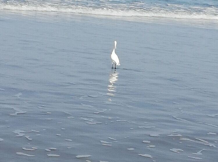 酒店 Estancia Jardín Cabañas