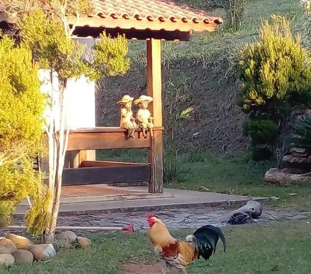 ホテル Pousada Naif