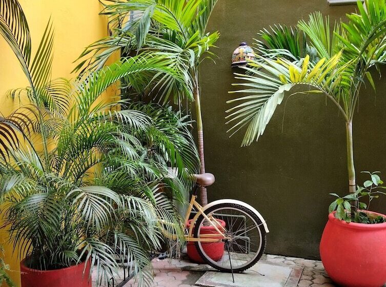 בית מלון כפרי Vicval Tulum