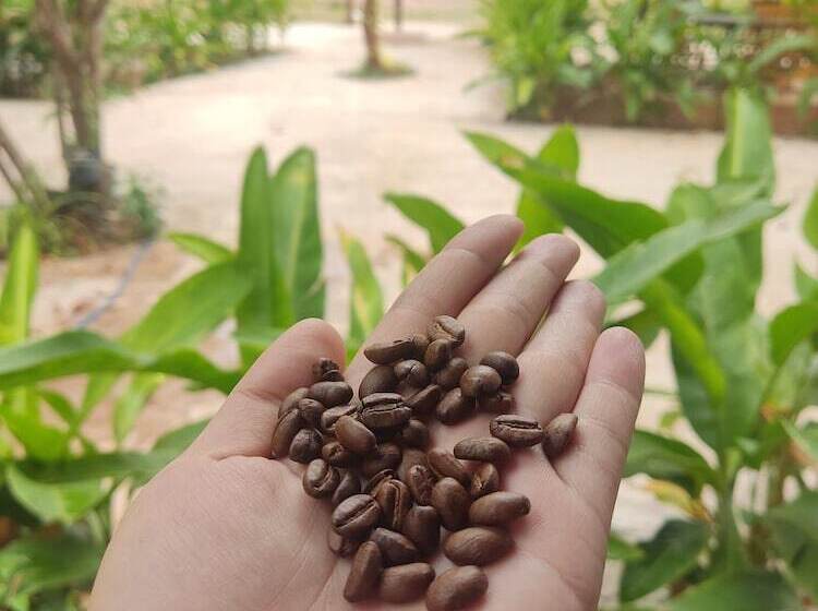 بنسيون Erawan Guesthouse