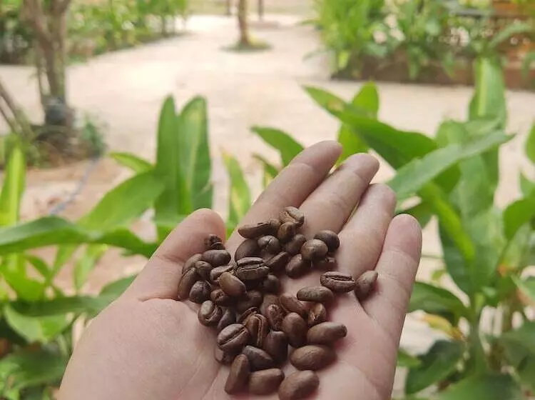 Majatalo Erawan Guesthouse