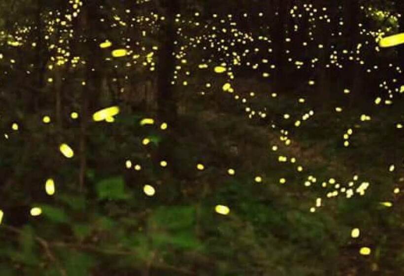 Pension Jeju Baramuieondeok Guest House