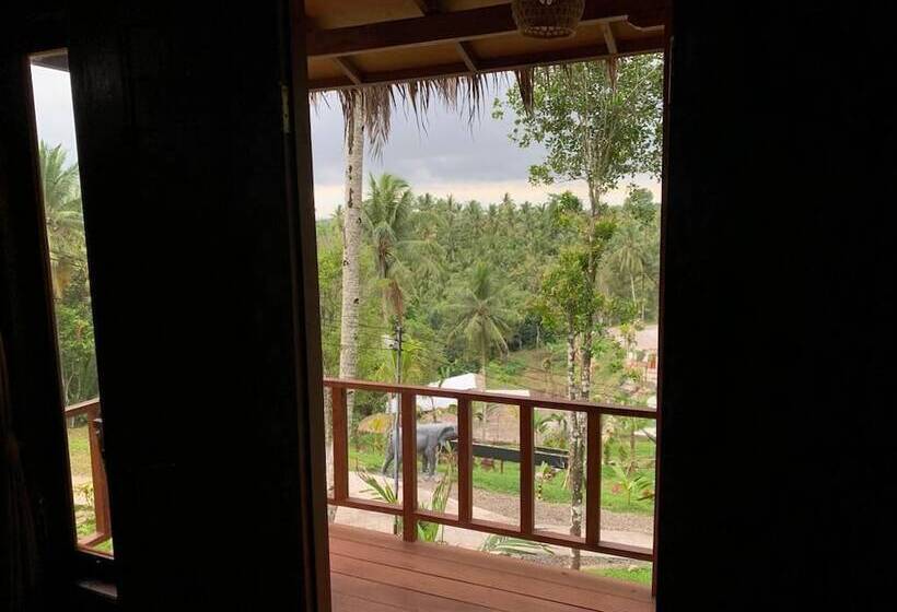 膳宿费 Kampung Coklat Jembrana