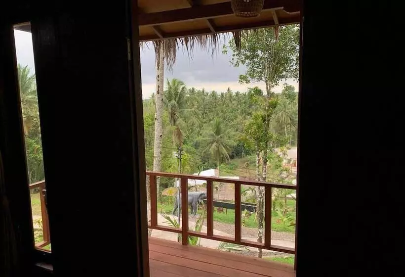 Majatalo Kampung Coklat Jembrana