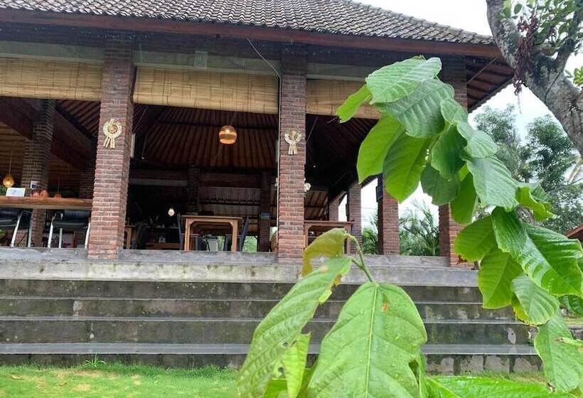 膳宿费 Kampung Coklat Jembrana