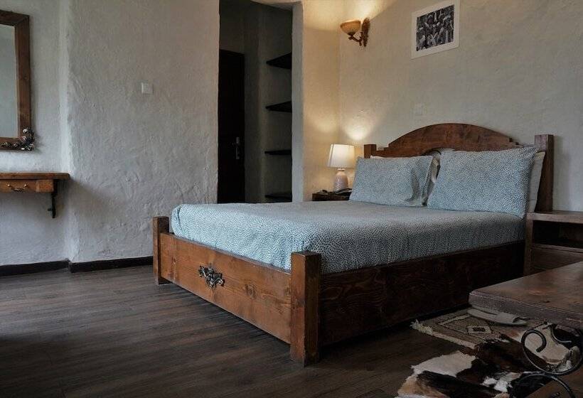 پانسیون Tryst Boutique