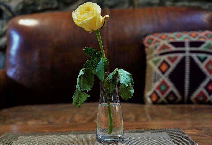 پانسیون Tryst Boutique